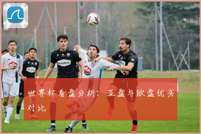 世界杯看盘分析：亚盘与欧盘优劣对比