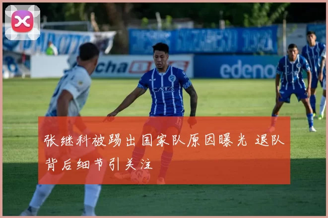 张继科被踢出国家队原因曝光 退队背后细节引关注