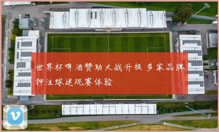 世界杯啤酒赞助大战升级 多家品牌押注球迷观赛体验